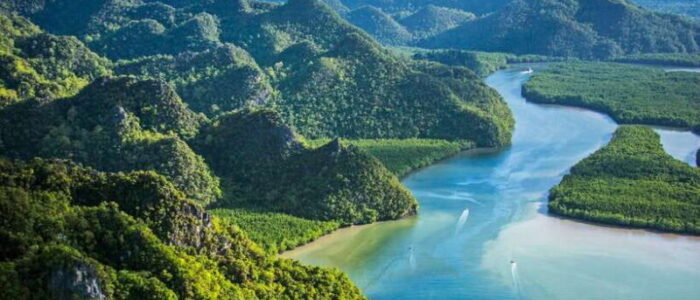 1_langkawi-mangrove-kilim-unesco-geopark-cave-tour-800x566