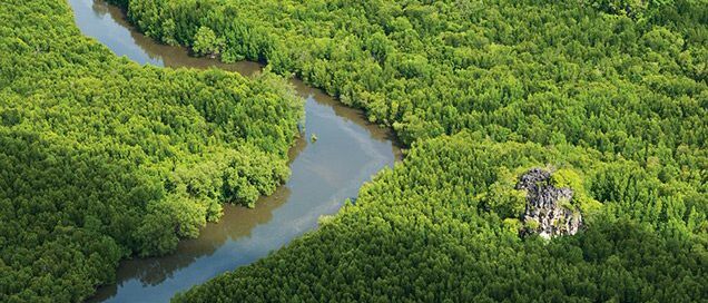 four-seasons-langkawi-mangroves-aerial-636x431